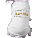 Xavier in Soccer Gold Pet Clothes
