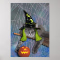 Xena as Witch poster posters