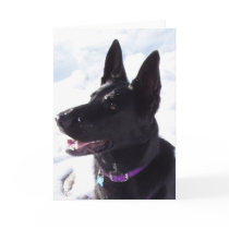 xmas1 greeting cards