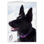 xmas1 greeting cards