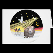 Xmas Dove-Guinea Pig 2 cards