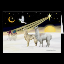 Xmas Dove - Two Llamas cards