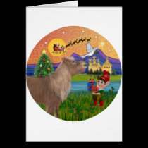 Xmas Fantasy - Shetland Pony cards