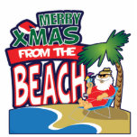 XMAS FROM THE BEACH-8X10 3D Art Sculpture photo sculptures