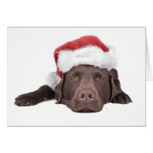 Xmas Labrador Greeting Card