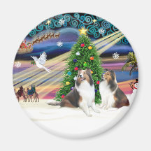 Xmas Magic - 2 Shelties Refrigerator Magnet