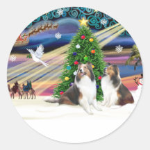 Xmas Magic - 2 Shelties Sticker