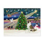 Xmas Magic-Akita brwn-white Postcards