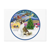Xmas Magic and Akita Post Cards