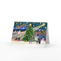 Xmas Magic-Aussie Cattle Dog pair Greeting Card