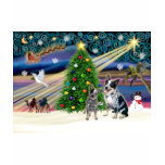 Xmas Magic-Aussie Cattle Dog pair t-shirts