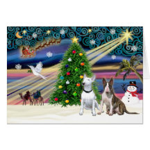 Xmas Magic-Bull Terrier Pair Greeting Cards