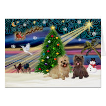Xmas Magic-Cairn Pair-wheatn+brindle Card