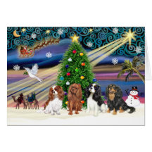 Xmas Magic-Cavalier Quad Cards