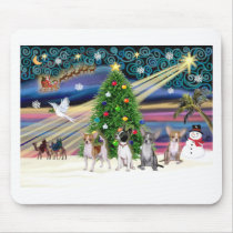 Xmas Magic-Chihuahuas (four) Mouse Pads