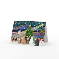 Xmas Magic - Five cats (AmSH) Cards