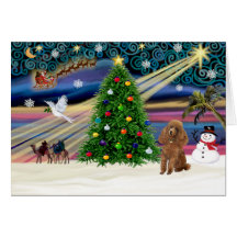 Xmas Magic-Poodle-Toy-Apricot Card