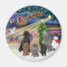 Xmas Magic (R) - 6 Standard Poodles Fridge Magnet