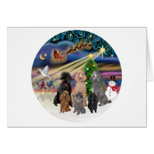 Xmas Magic (R) - 6 Standard Poodles Greeting Cards