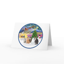 Xmas Magic (R) - Five cats (AmSH) Card