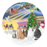 Xmas Magic (R) - Five cats (AmSH) Round Sticker