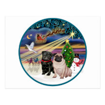 Xmas Magic (R) - Two Pugs (F + B) Postcard