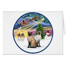 Xmas Magic (R) - Two Siamese cats Greeting Card