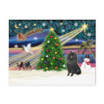 Xmas Magic-Schipperke postcards