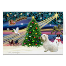 XMAS Magic-Sealyham1 Greeting Cards