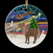 Xmas Magic - Shetland Pony ornaments