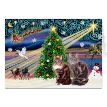 Xmas Magic - Two Maine Coon cats Greeting Cards