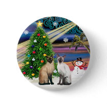 Xmas Magic - Two Siazmese cats (Seal + Choc) Pin