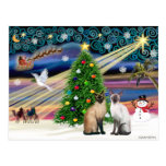 Xmas Magic - Two Siazmese cats (Seal + Choc) Post Card