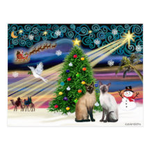 Xmas Magic - Two Siazmese cats (Seal + Choc) Post Card
