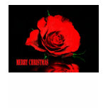 xmas rose t-shirts