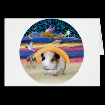 Xmas Star - Guinea Pig 1 cards
