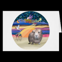 Xmas Star - Guinea Pig 2 cards