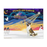 Xmas Sunrise - Akita (brown and white) postcards