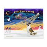 Xmas Sunrise - Akita (brown and white) Postcards