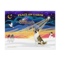 Xmas Sunrise - Akita (brown and white) Postcards