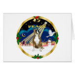 Xmas Sunrise (R) - Boxer 1 Greeting Card