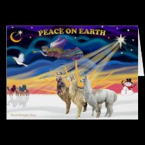 Xmas Sunrise - Three Llamas cards