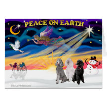 Xmas Sunrise - Three Standard Poodles Cards