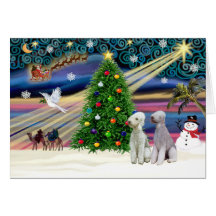 XmasMagic-Bedlington Pair Greeting Cards