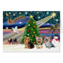 XmasMagic Yorkie Trio Greeting Card