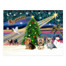 XmasMagic Yorkie Trio Post Card