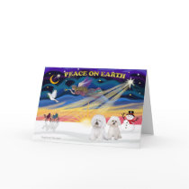 XmasSunrise-2 Bichon Frise Card
