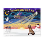 XmasSunrise-BLoodhound postcards