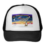 XmasSunrise-Boxer 1 Mesh Hats