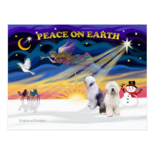 XmasSunrise-Two-Old English Sheepdog Post Cards